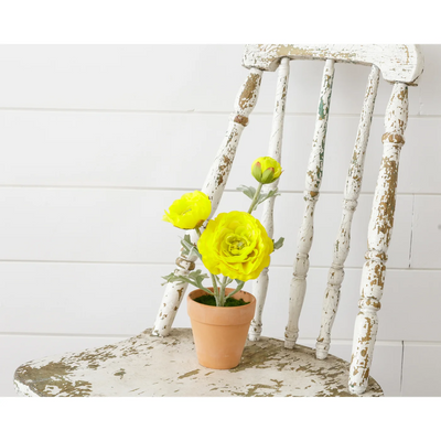 Yellow Ranunculus 11" Faux Potted Plant