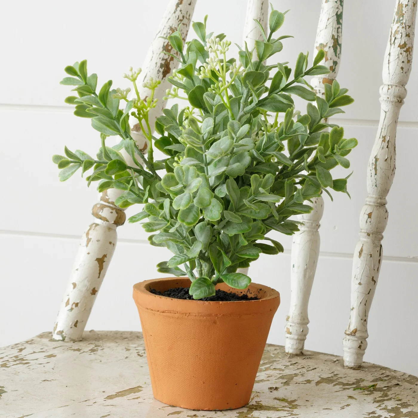 artificial potted herb plants Faux Oregano Herb 10.5" Faux Potted Plant – Blueberry Lane Shop