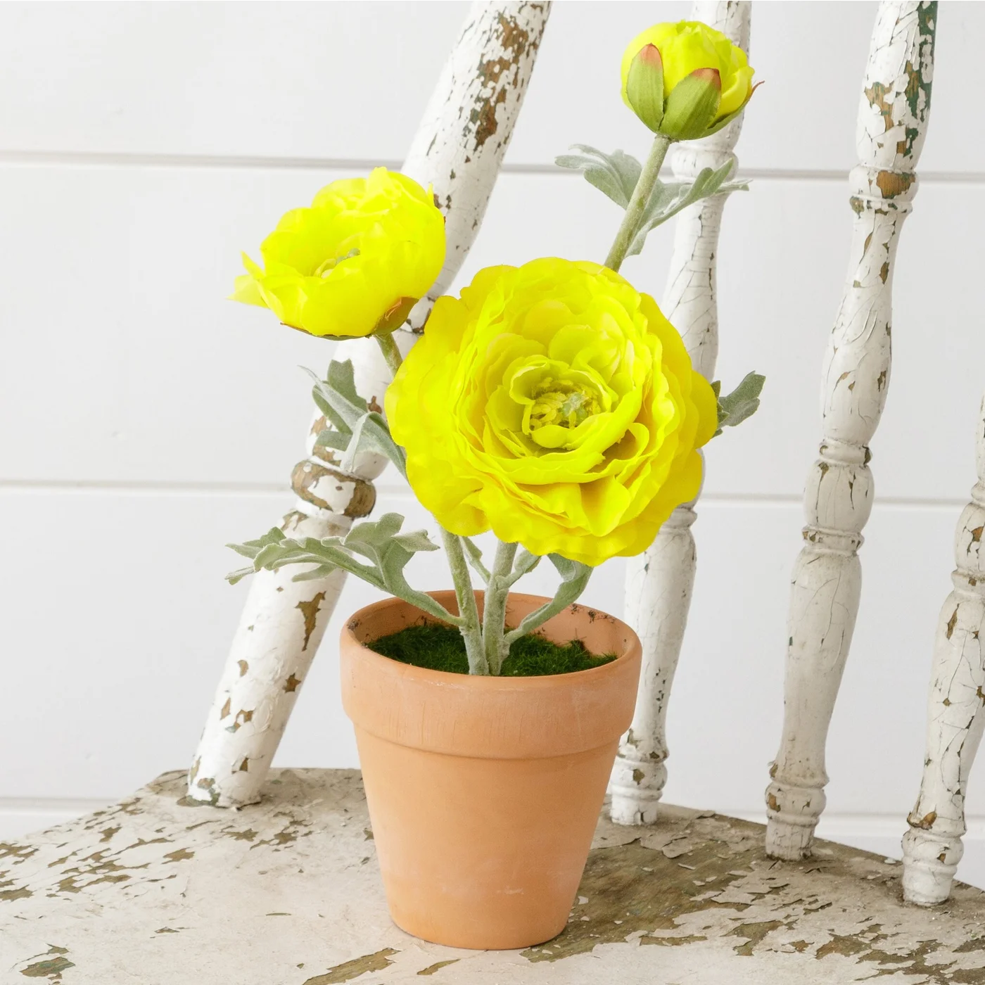 Yellow Ranunculus 11" Faux Potted Plant Blueberry Lane Shop