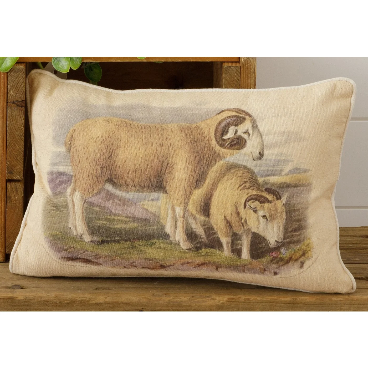 Sheep Countryside Illustration Accent Pillow