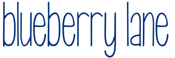 http://blueberrylaneshop.com/cdn/shop/files/new_blueberry_logo.png?v=1665467967