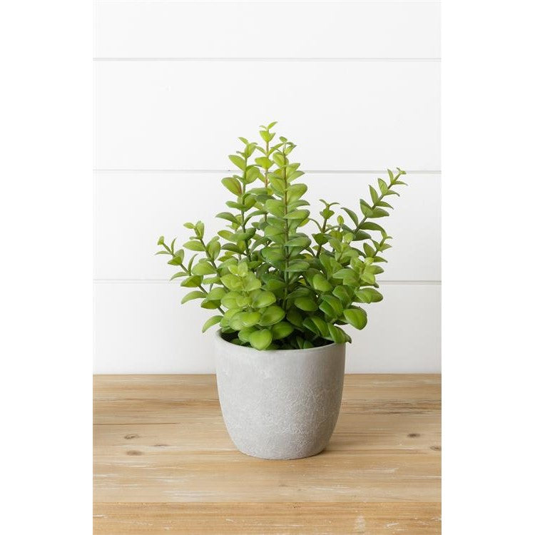 small potted fake succulents Succulent 12" Faux Potted Plant – Blueberry Lane Shop
