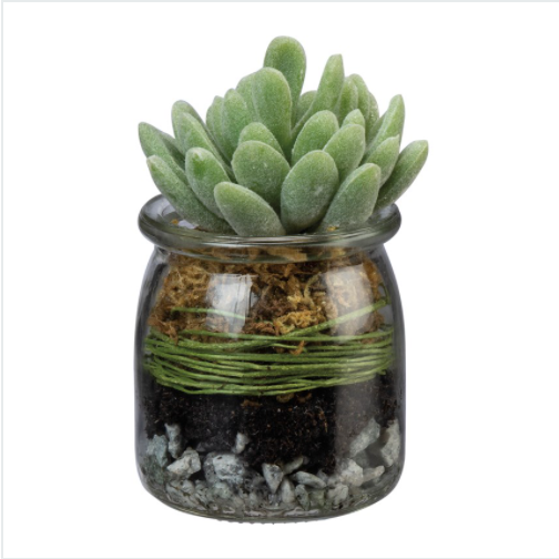 💙 Jade Succulent Faux Plant in Jar