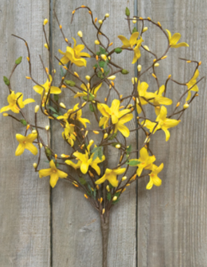 💙 Spring Yellow Forsythia and Pip 18" Spray