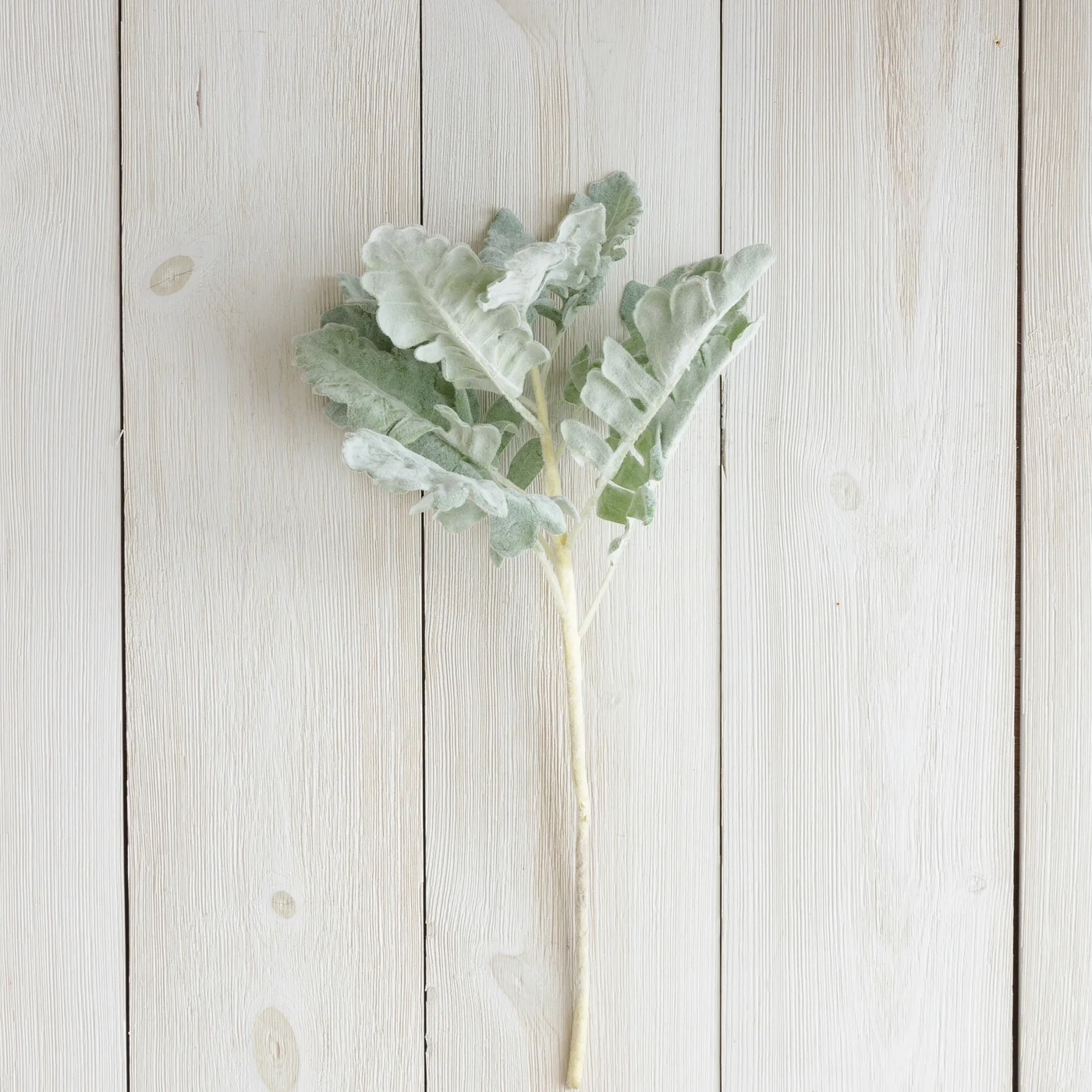 Dusty Miller 18" Faux Foliage Pick