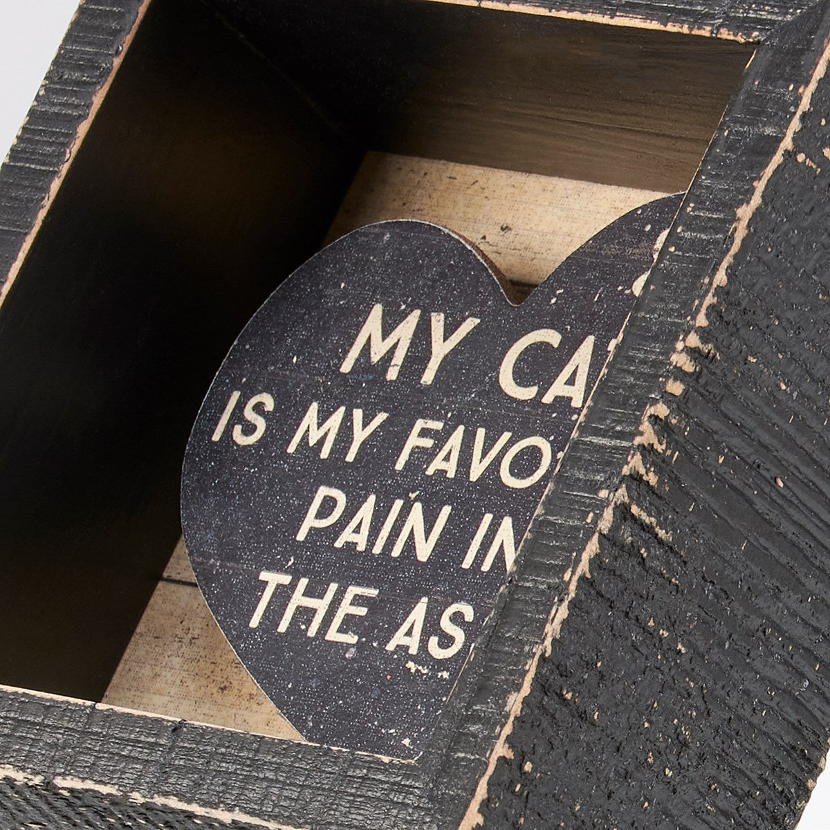 My Cat Is My Favorite Pain 4" Wooden Box Sign