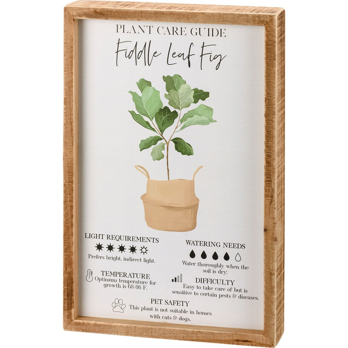 Surprise Me Sale 🤭 Fiddle Leaf Fig Study Inset Box Sign 12" H