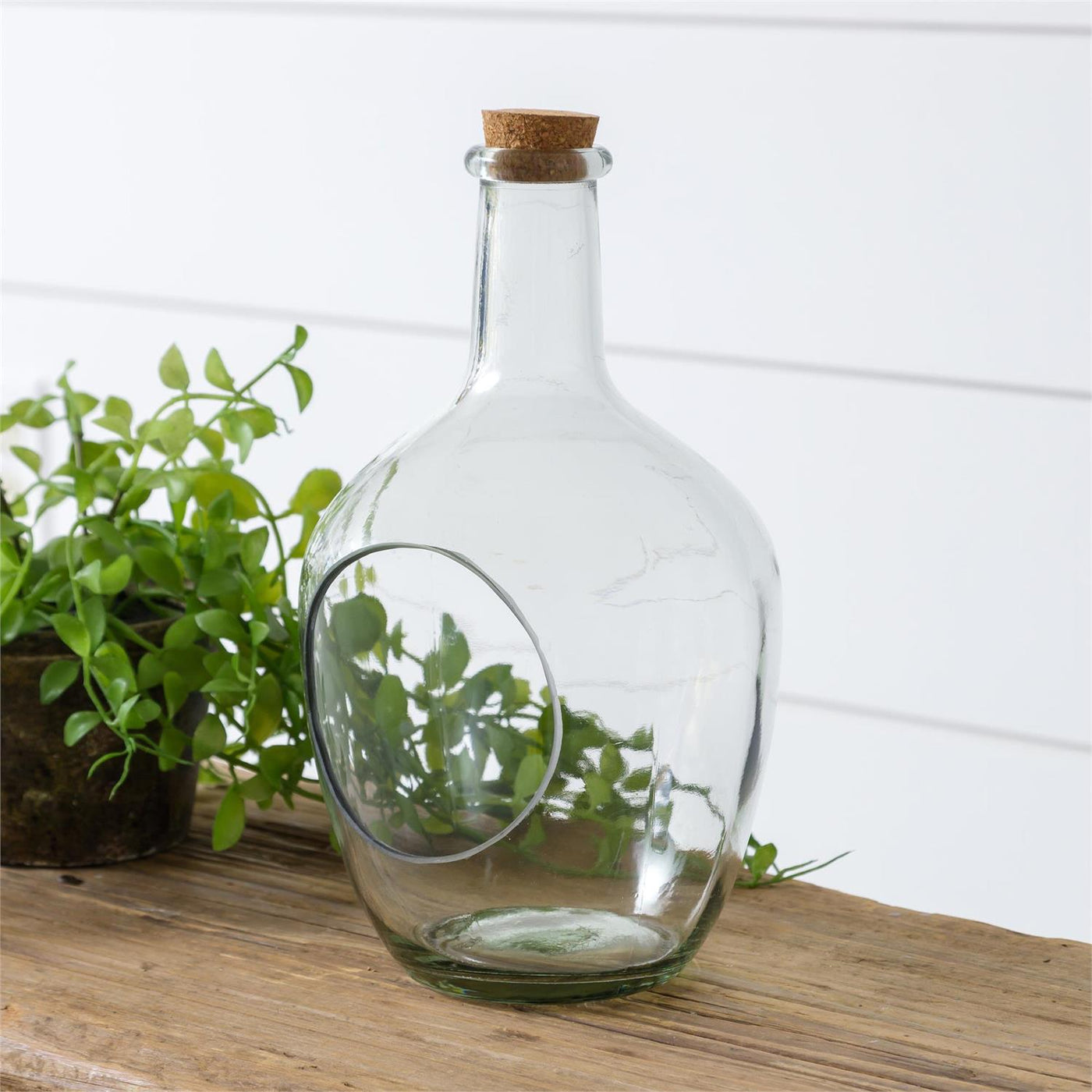 Glass Terrarium with Front Opening with Cork 12" H