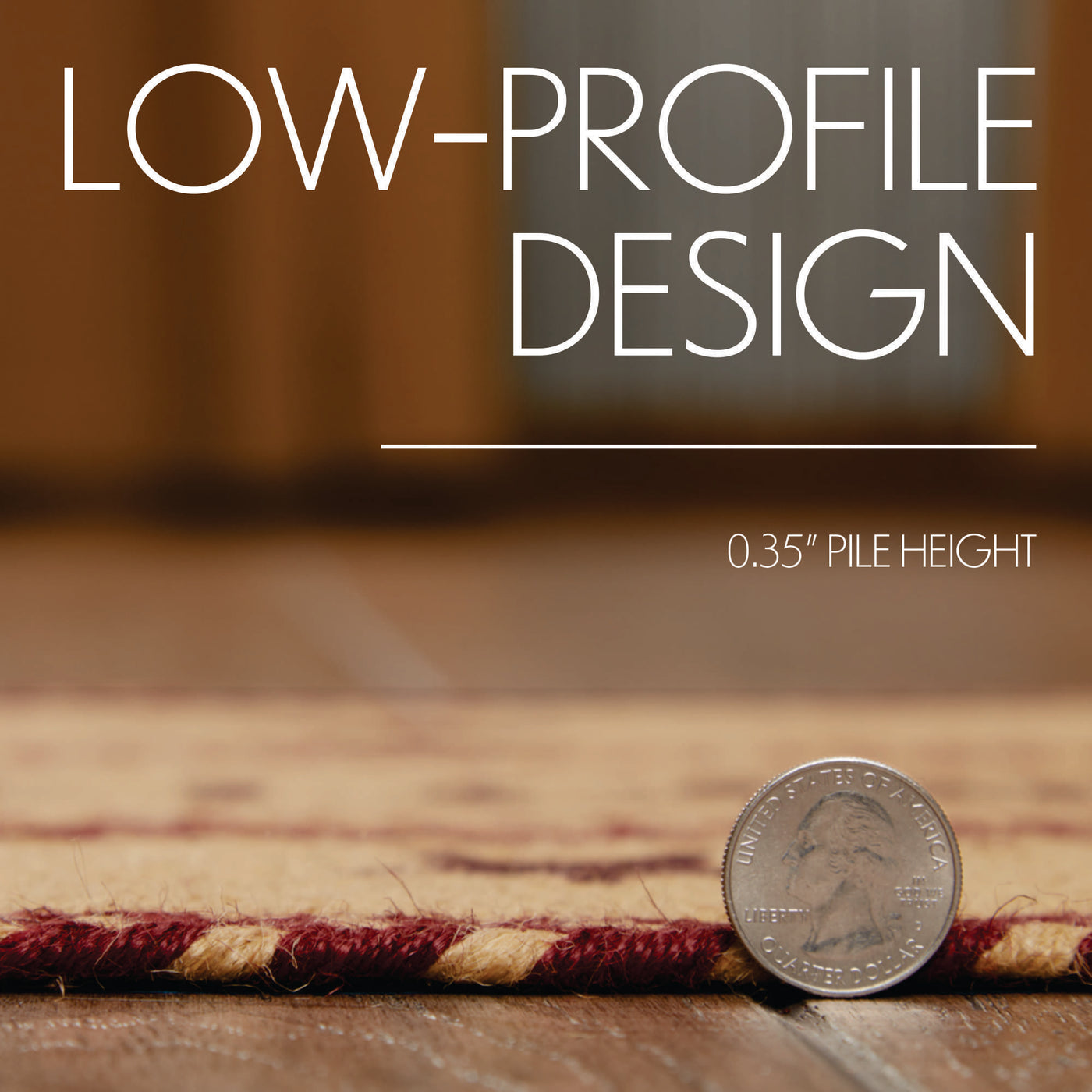 Burgundy Tan Indoor/Outdoor Small Bone Rug