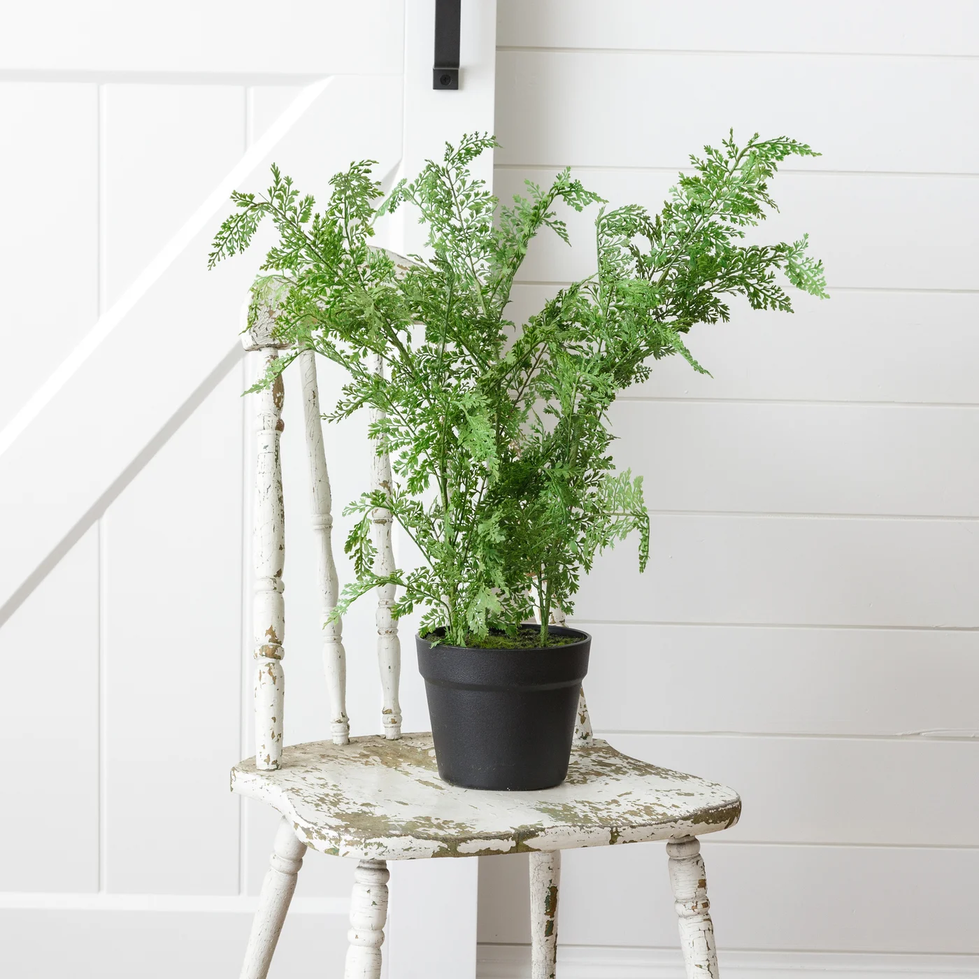 Faux Maidenhair Fern 22" Potted Houseplant