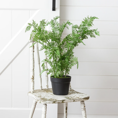 Faux Maidenhair Fern 22" Potted Houseplant