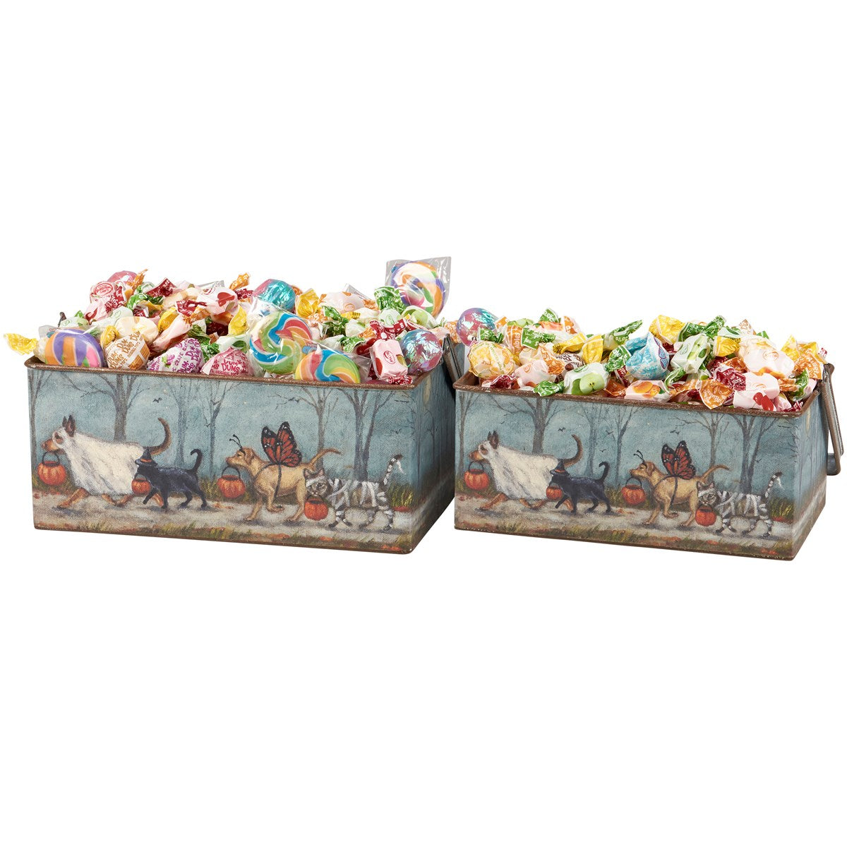 Set of 2 Spooky Pet Parade Metal Bin Set