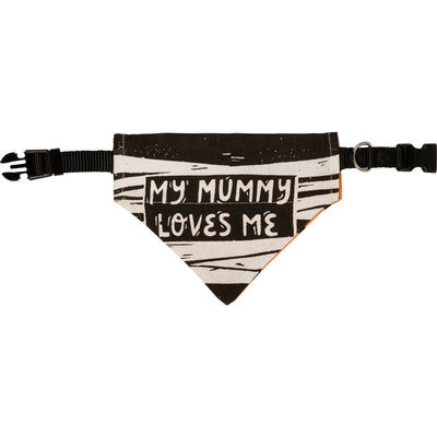 💙 Sweet & Spooky Small Pet Collar Bandana