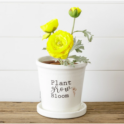 Plant, Grow, Bloom Ceramic Pot with Saucer