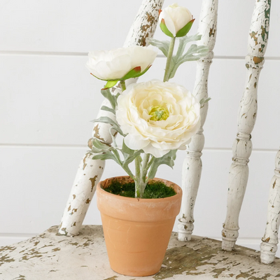 White Ranunculus 11" Faux Potted Plant