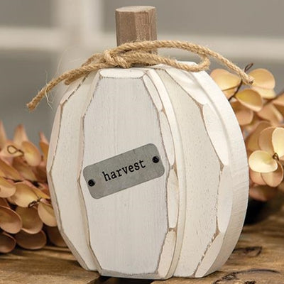 💙 Cream Harvest Pumpkin Chunky Sitter