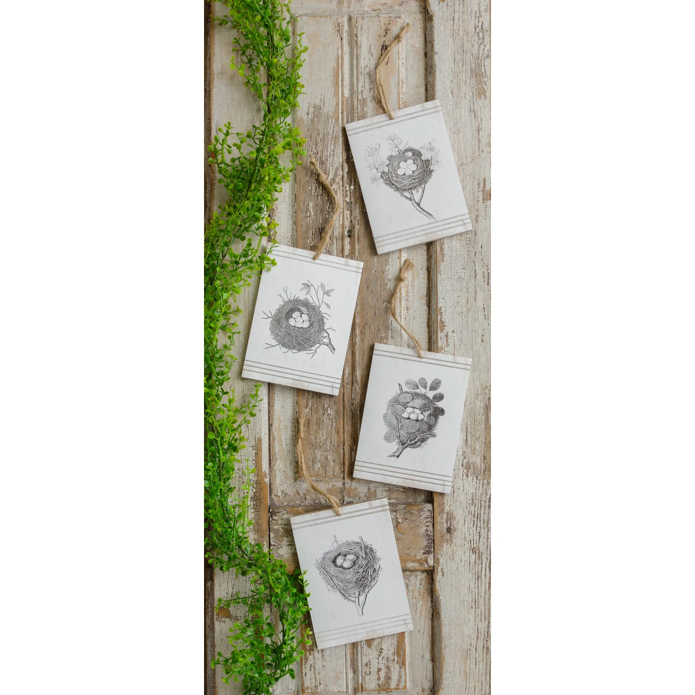 Set of 4 Line Drawn Nests With Eggs Mini Signs