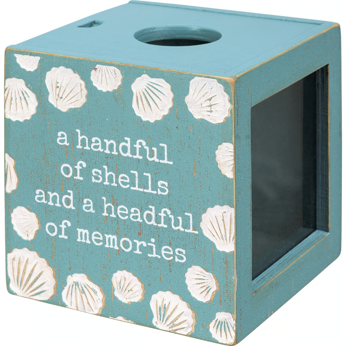 A Handful OF Shells A Headful Of Memories Shell Holder