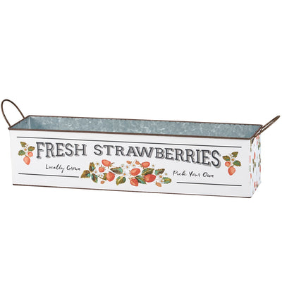 Set of 2 Fresh Strawberries Tin Bins