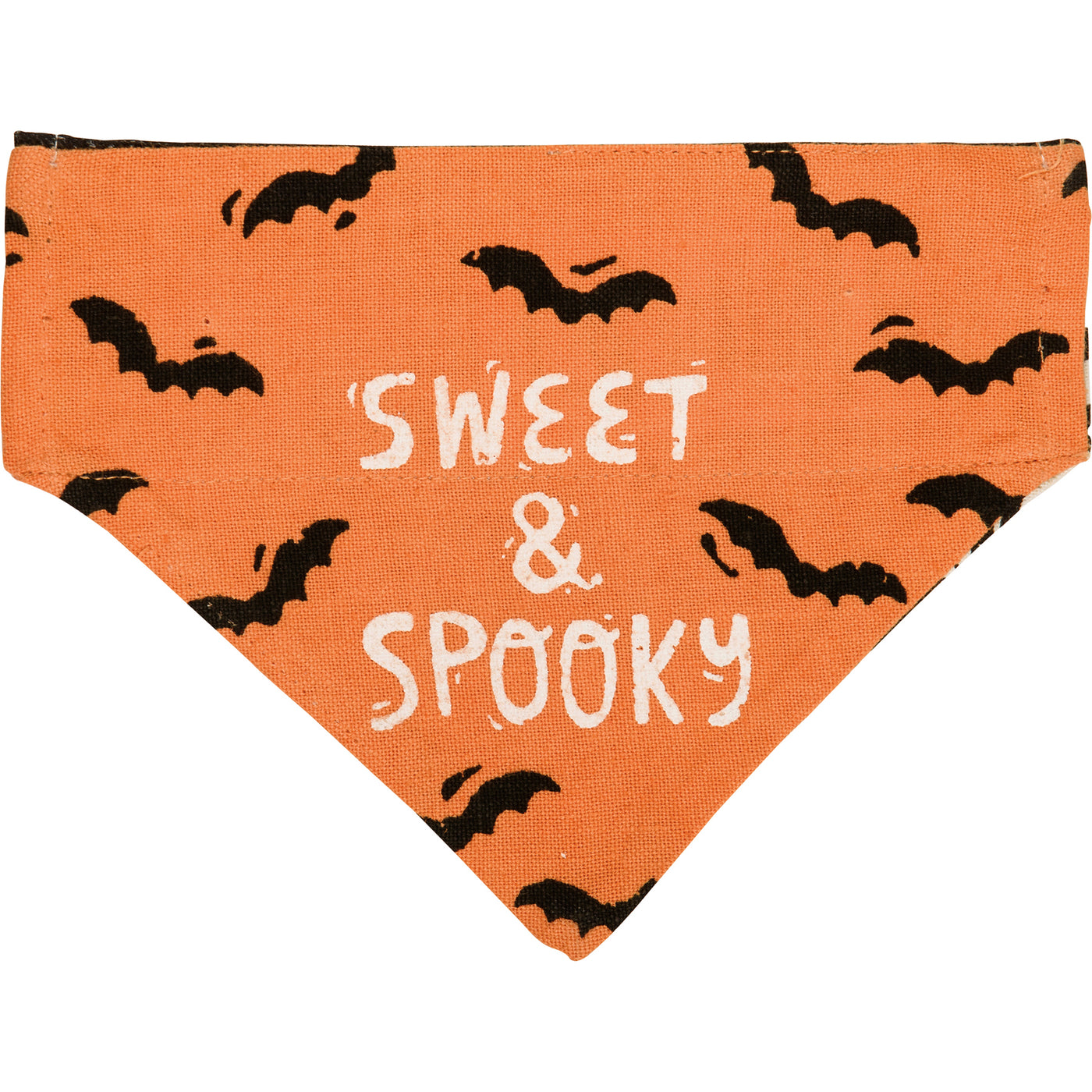 💙 Sweet & Spooky Small Pet Collar Bandana