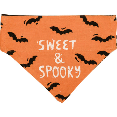 💙 Sweet & Spooky Small Pet Collar Bandana