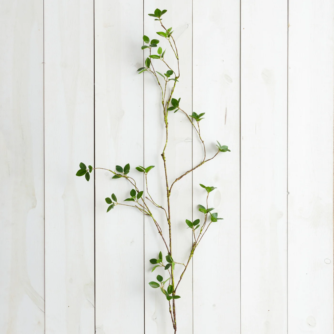 Lemon Leaf 48" Faux Foliage Branch