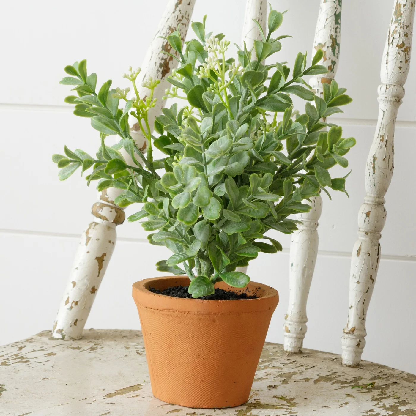Faux Oregano Herb 10.5" Faux Potted Plant