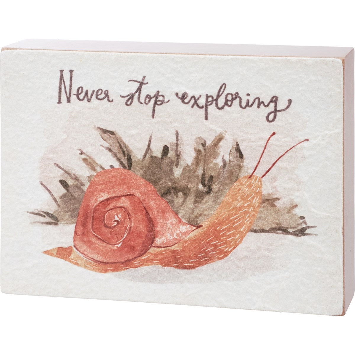 Surprise Me Sale 🤭 Never Stop Exploring Snail Watercolor 6" Box Sign