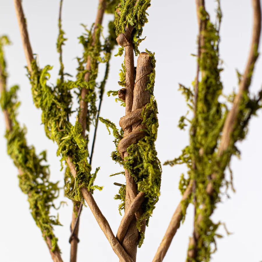 Twig Branch with Moss 31