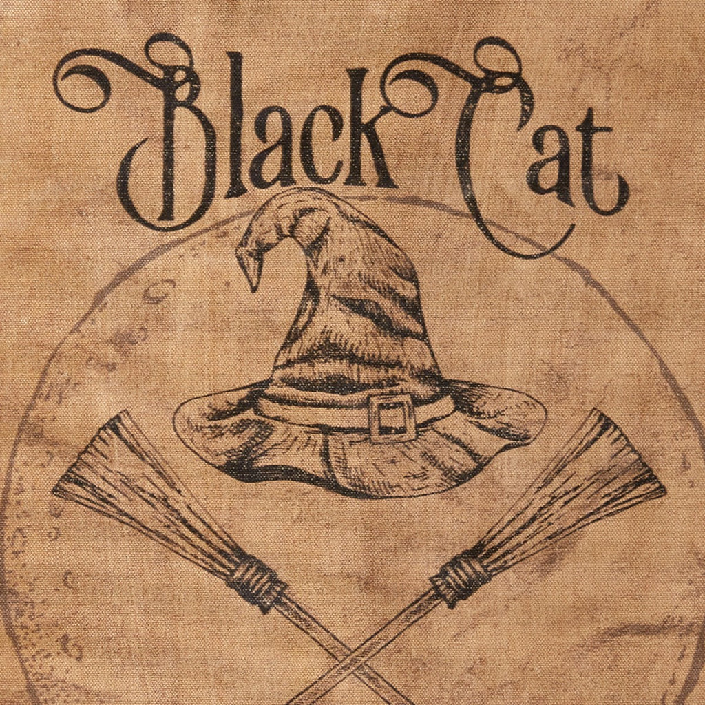 Black Cat Flying Lessons Canvas Hanging