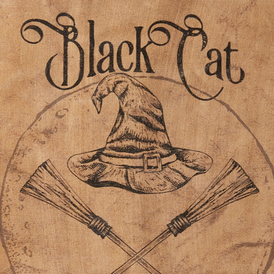 Black Cat Flying Lessons Canvas Hanging