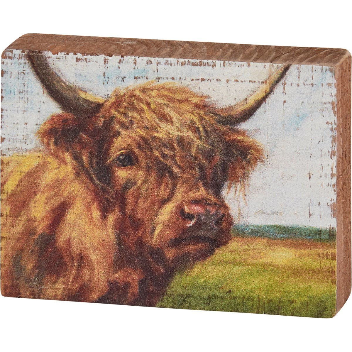 💙 Highland Cow Small Wooden Block Sign