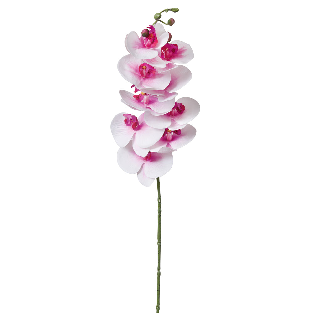 Moon Orchid 36" Faux Floral Stem