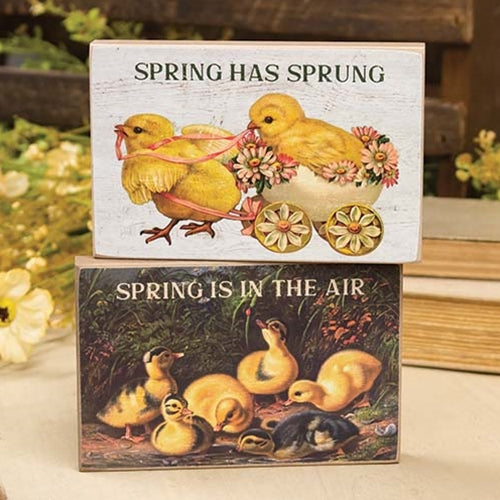 Set of 2 Spring Has Sprung Vintage Chick Block Signs – Blueberry Lane Shop