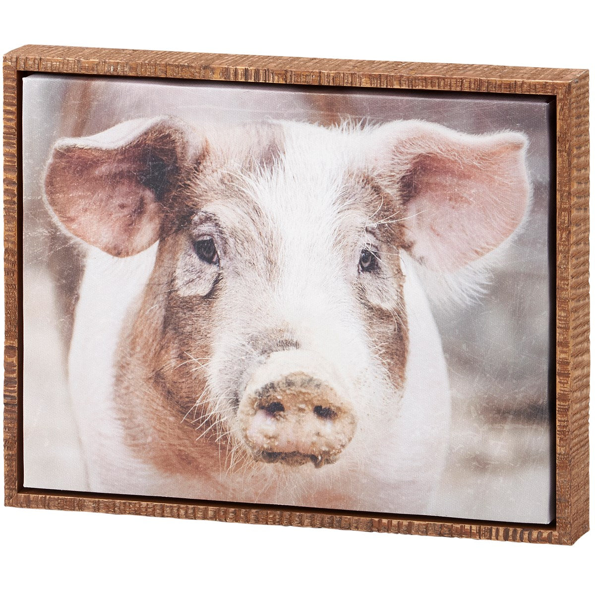 Pig Canvas Wall Art 8" x 10"