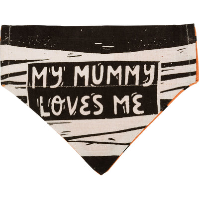 💙 Sweet & Spooky Small Pet Collar Bandana