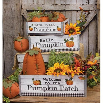 Welcome to the Pumpkin Patch Crates Set of 3