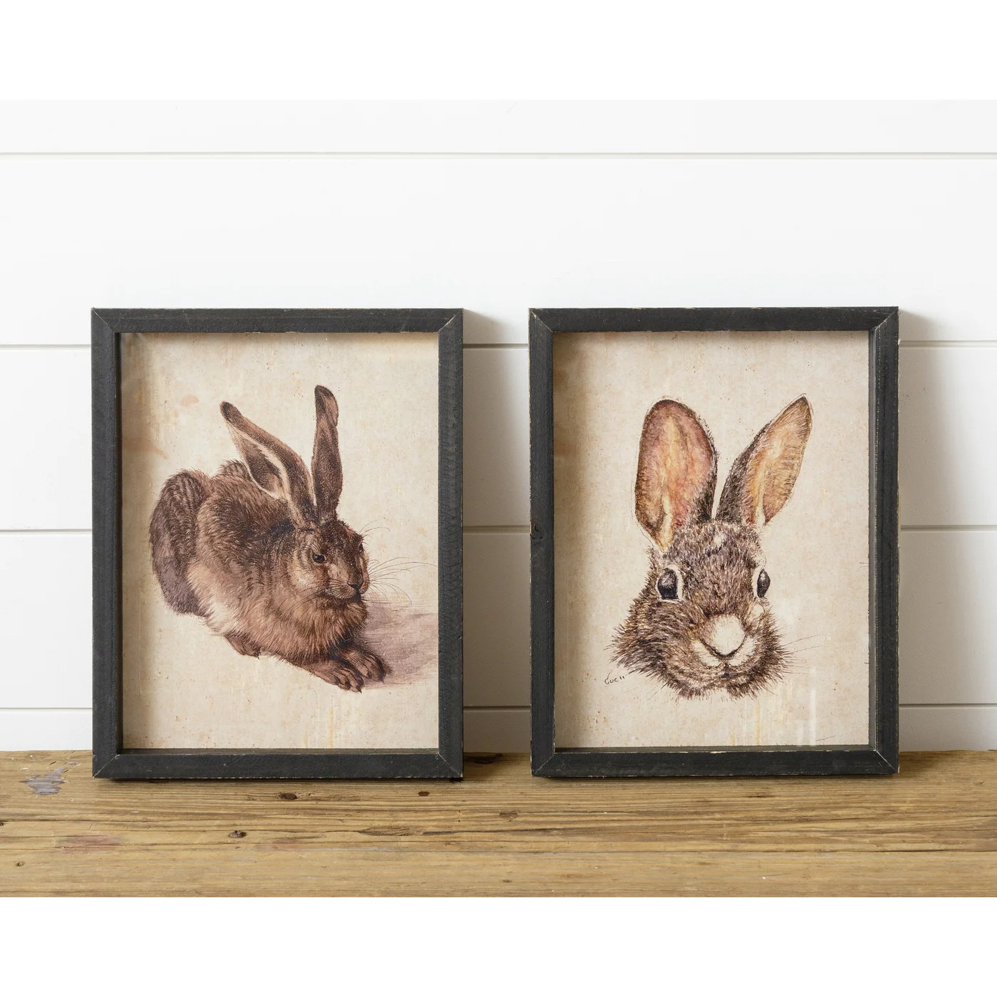 Set of 2 Rabbit Illustration Framed Prints