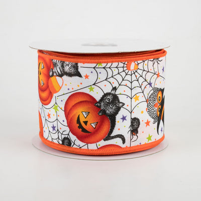 Halloween Collage Cats and Spiders Satin Ribbon 2.5" x 10 Yards