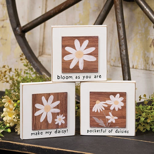 Set of 3 Bloom As You Are Daisy Layered 4.5" Block Signs