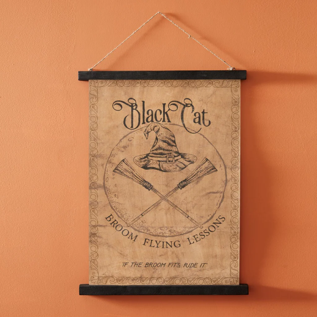 Black Cat Flying Lessons Canvas Hanging