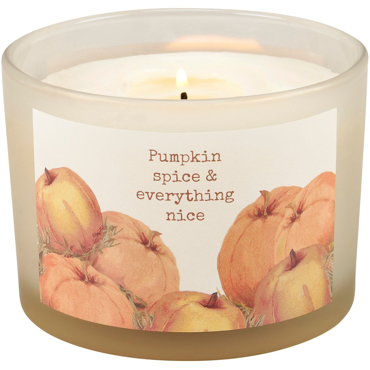 Pumpkin Spice & Everything Nice 14 oz Jar Candle