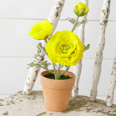 Yellow Ranunculus 11" Faux Potted Plant