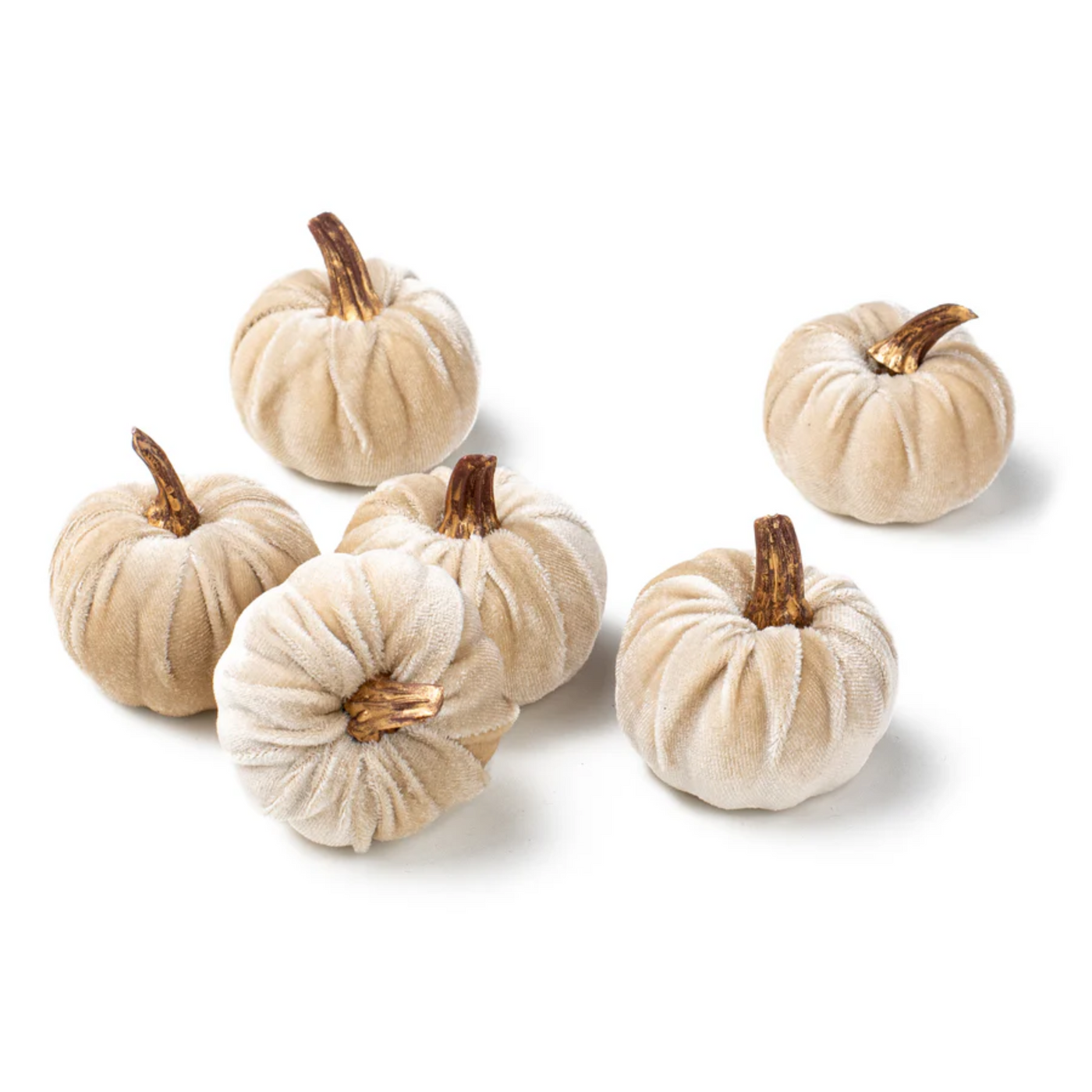 Set of 6 Champagne Velvet Pumpkins with Gold Stems 2"