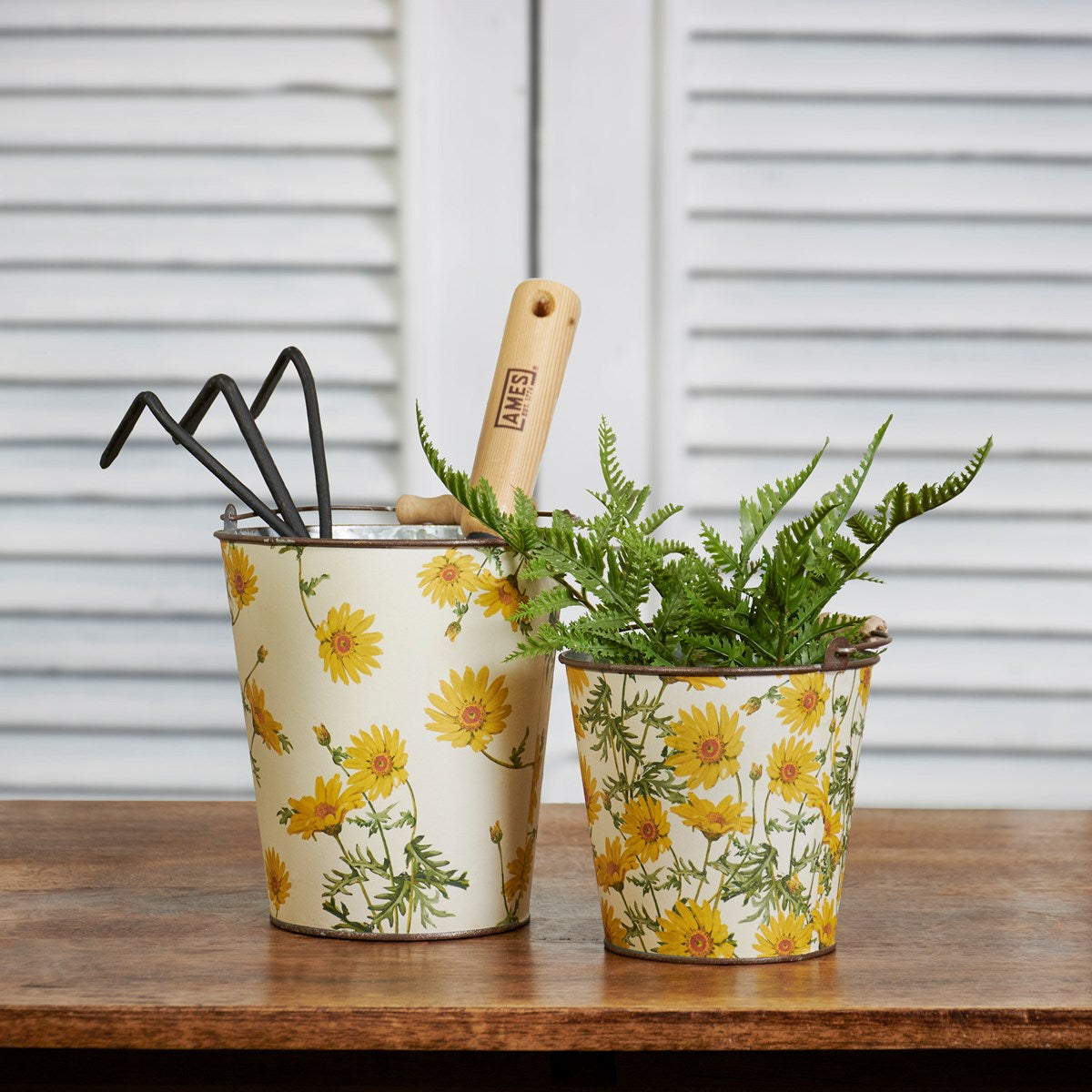 Set of 2 Every Daisy Buckets