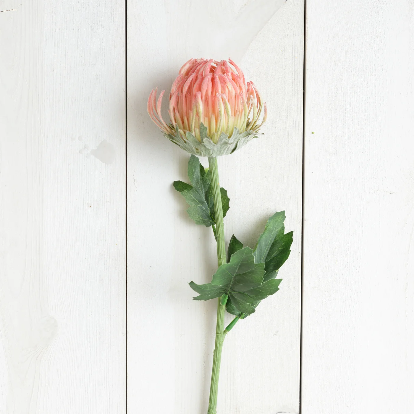 💙 Pink Protea 23" Faux Floral Stem