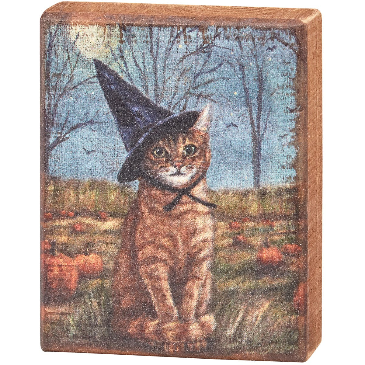 Tabby Cat Witch 5" Small Wooden Block Sign