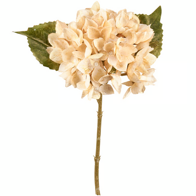 Cream Hydrangea 12" Faux Floral Stem