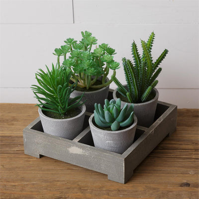 Faux Potted Succulents in Rustic Crate