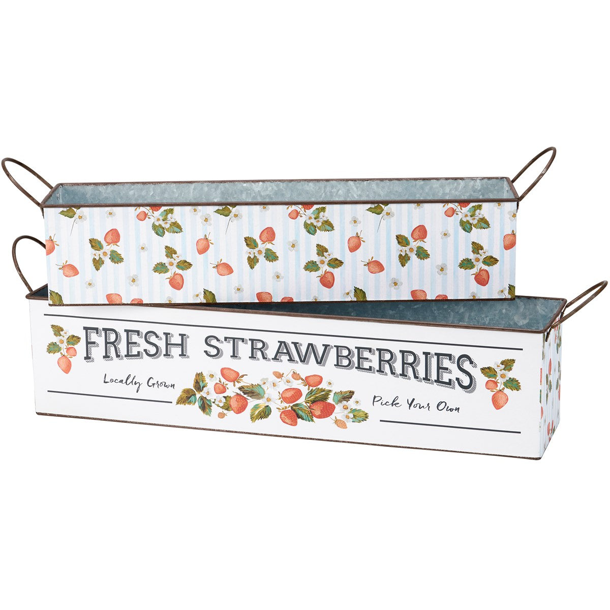 Set of 2 Fresh Strawberries Tin Bins